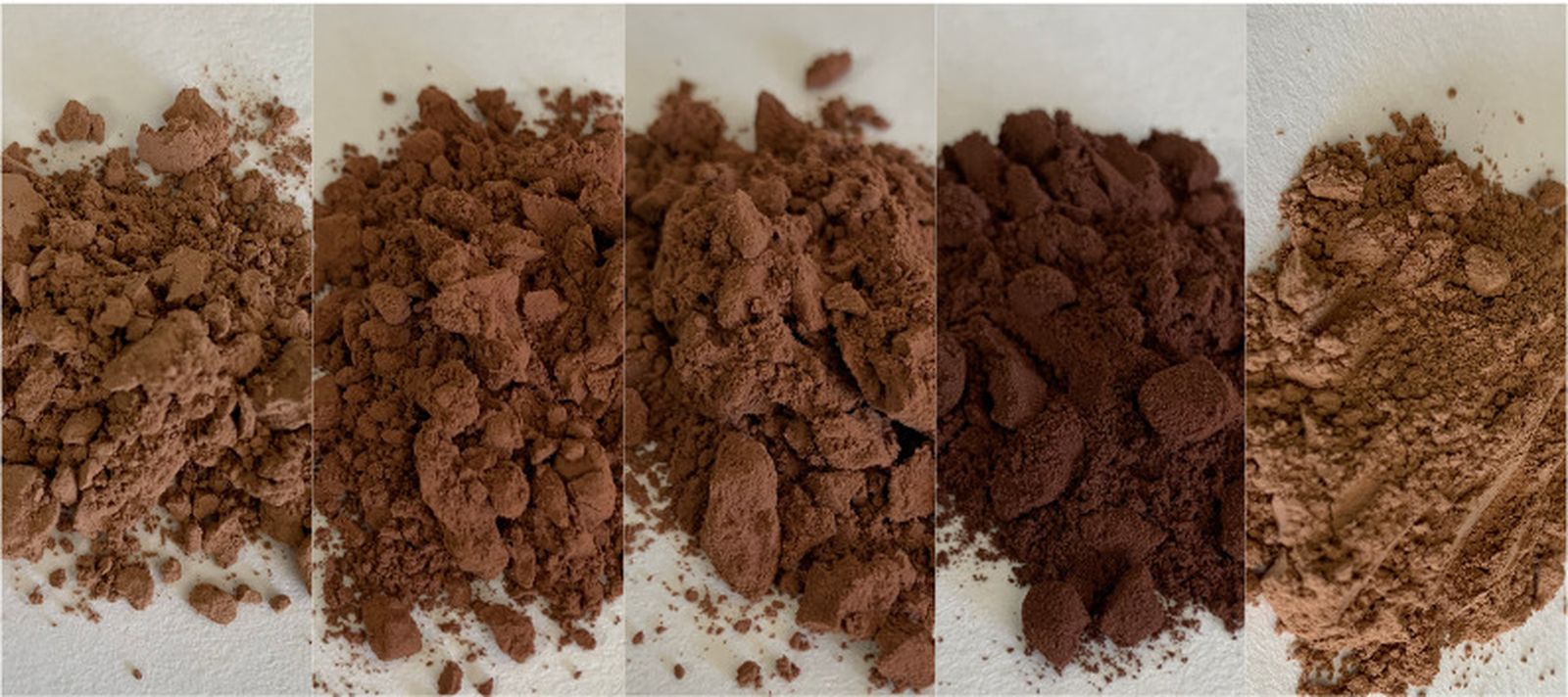 Imagen remitida por la Universidad de Granada.