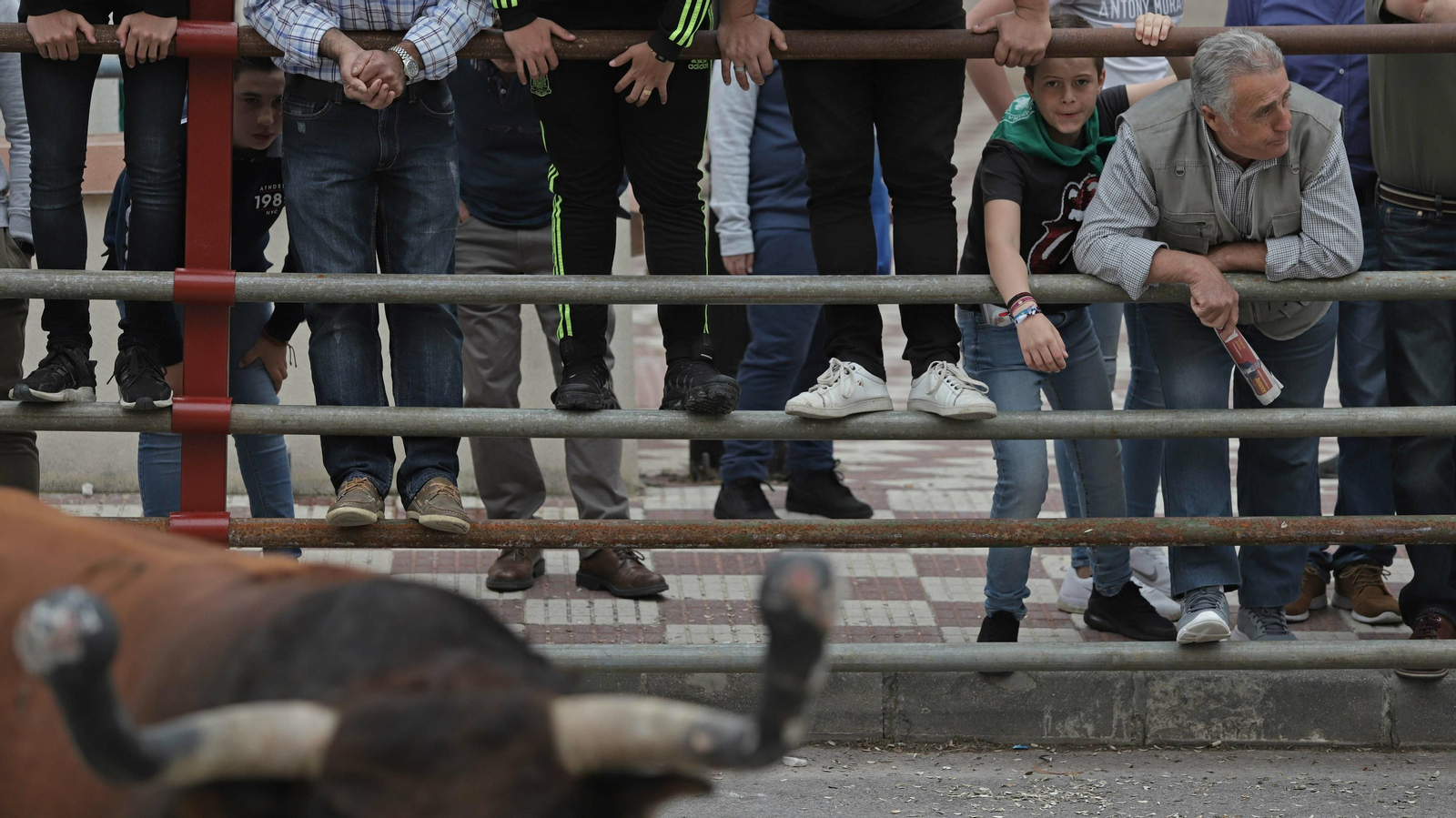Imágenes del Toro Embolao de Los Barrios
