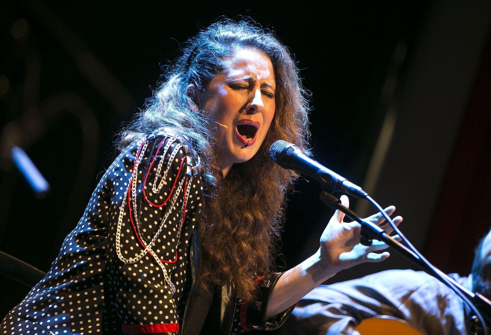 La Tremendita en un recital en Sevilla.