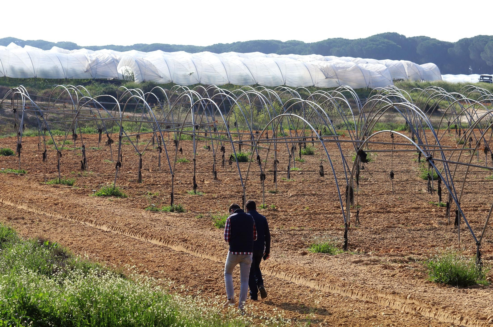 Imágenes de la realidad del trabajo en el campo