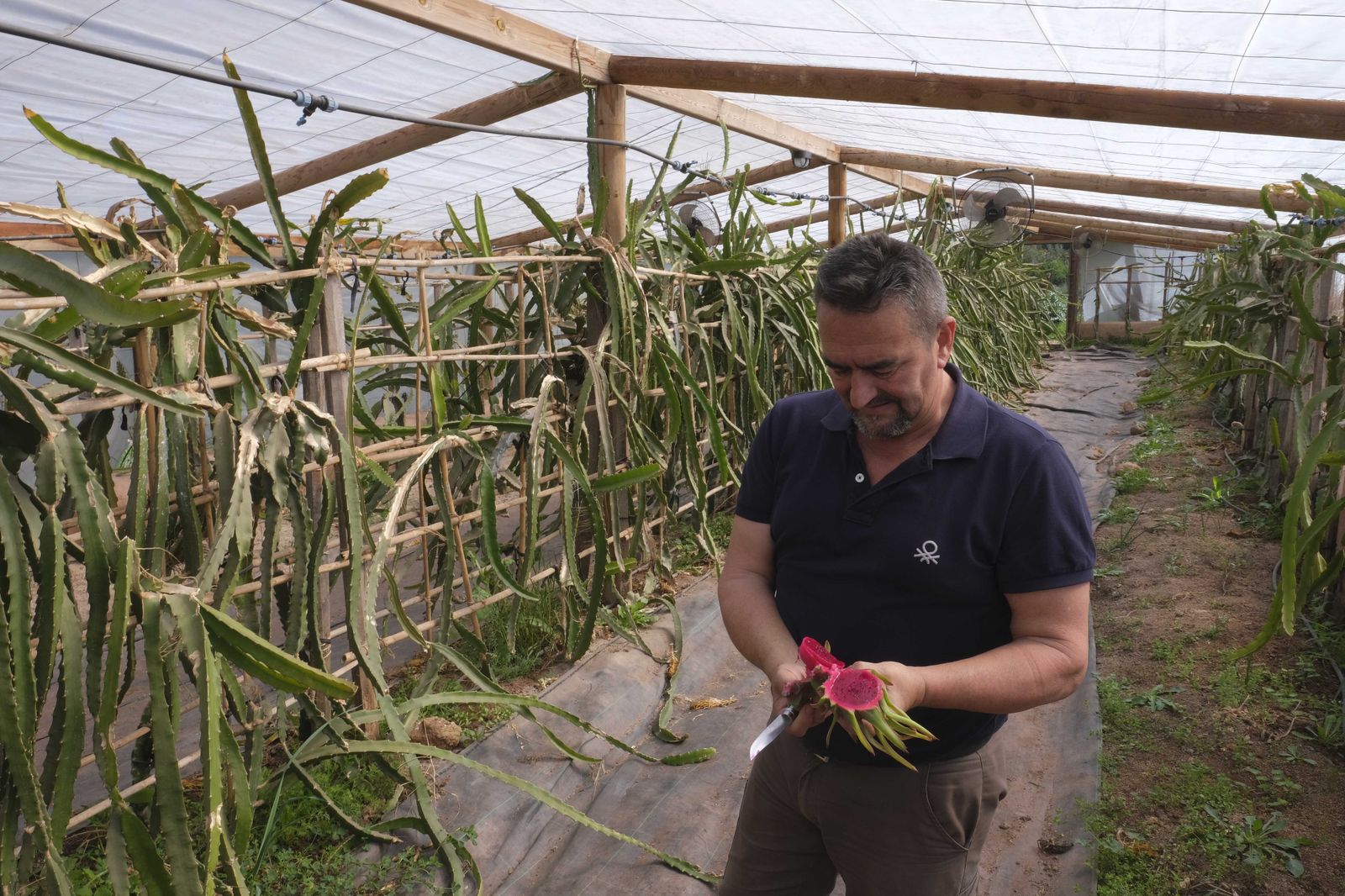 La Donaira, en fotos