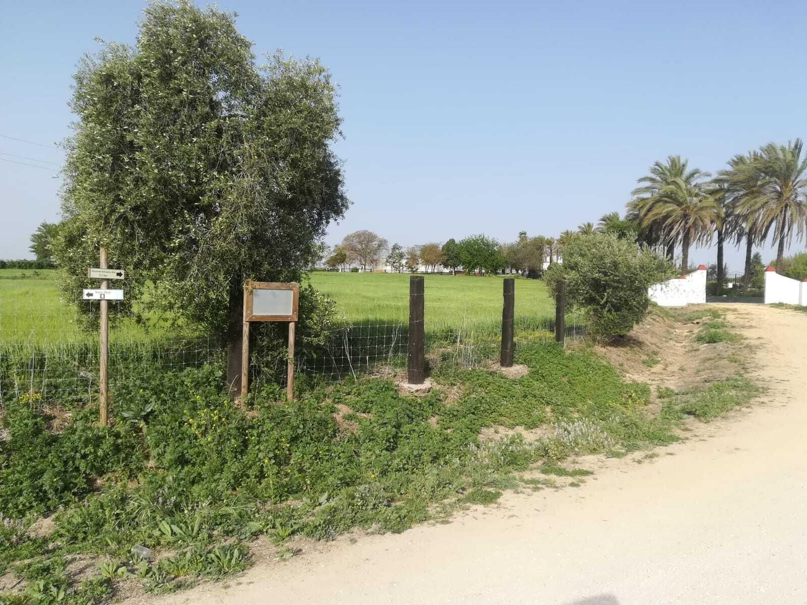 Fotos de la ruta Umbrete-Ermita de Cuatrovitas