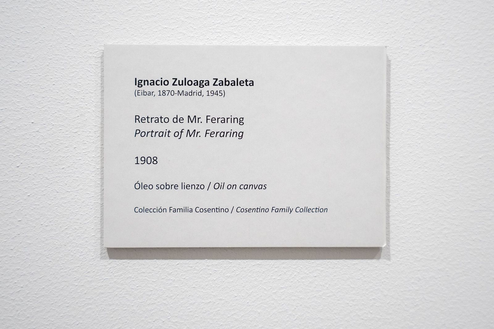 Fotogalería de la nueva obra de Zuloaga de la familia Cosentino en el MUREC