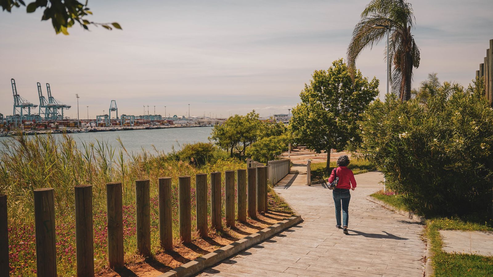 Personas disfrutando del mañaneo en el paseo marítimo de Algeciras, en imágenes