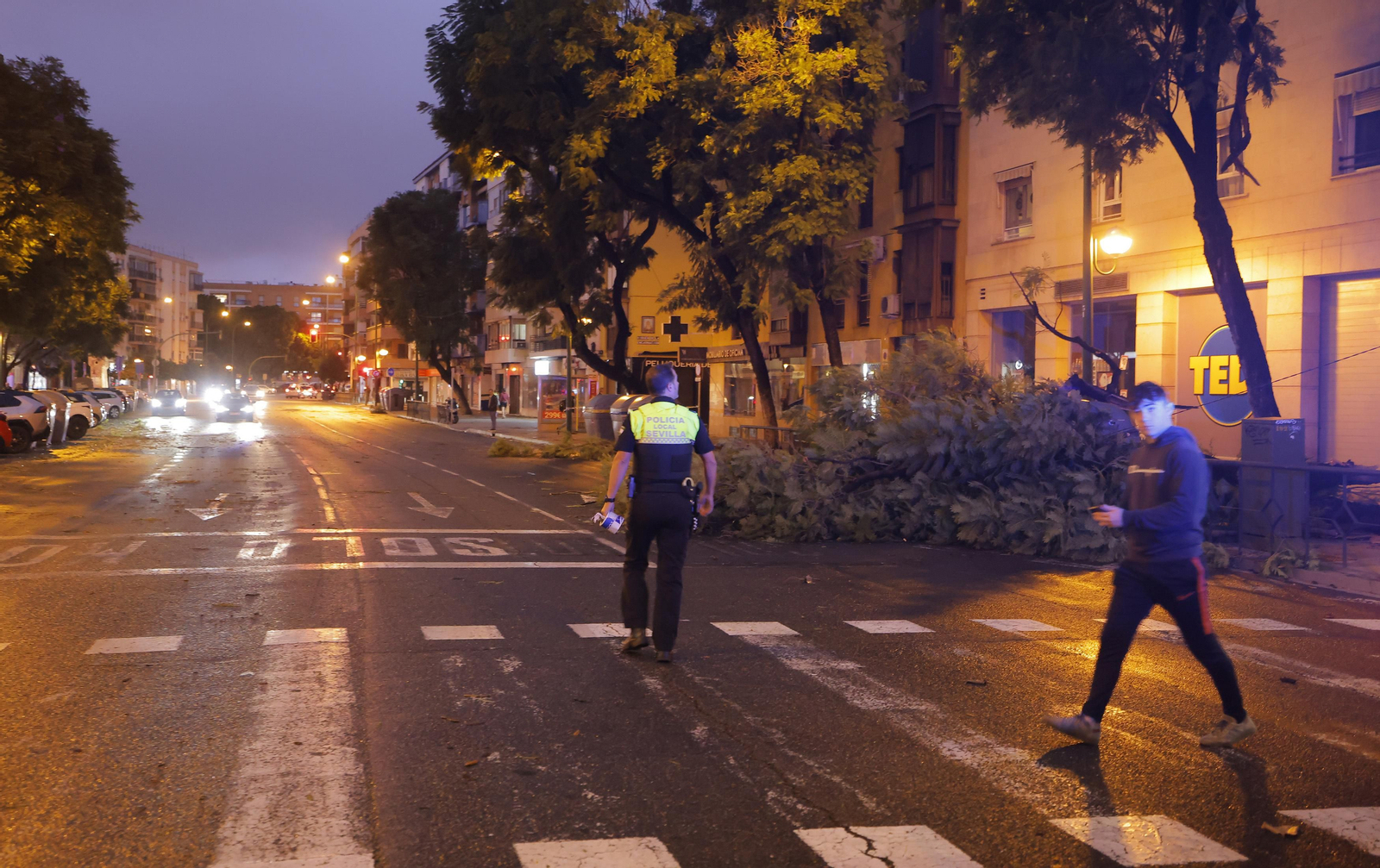 Los efectos de la borrasca 'Bernard' en Sevilla, todas las fotos
