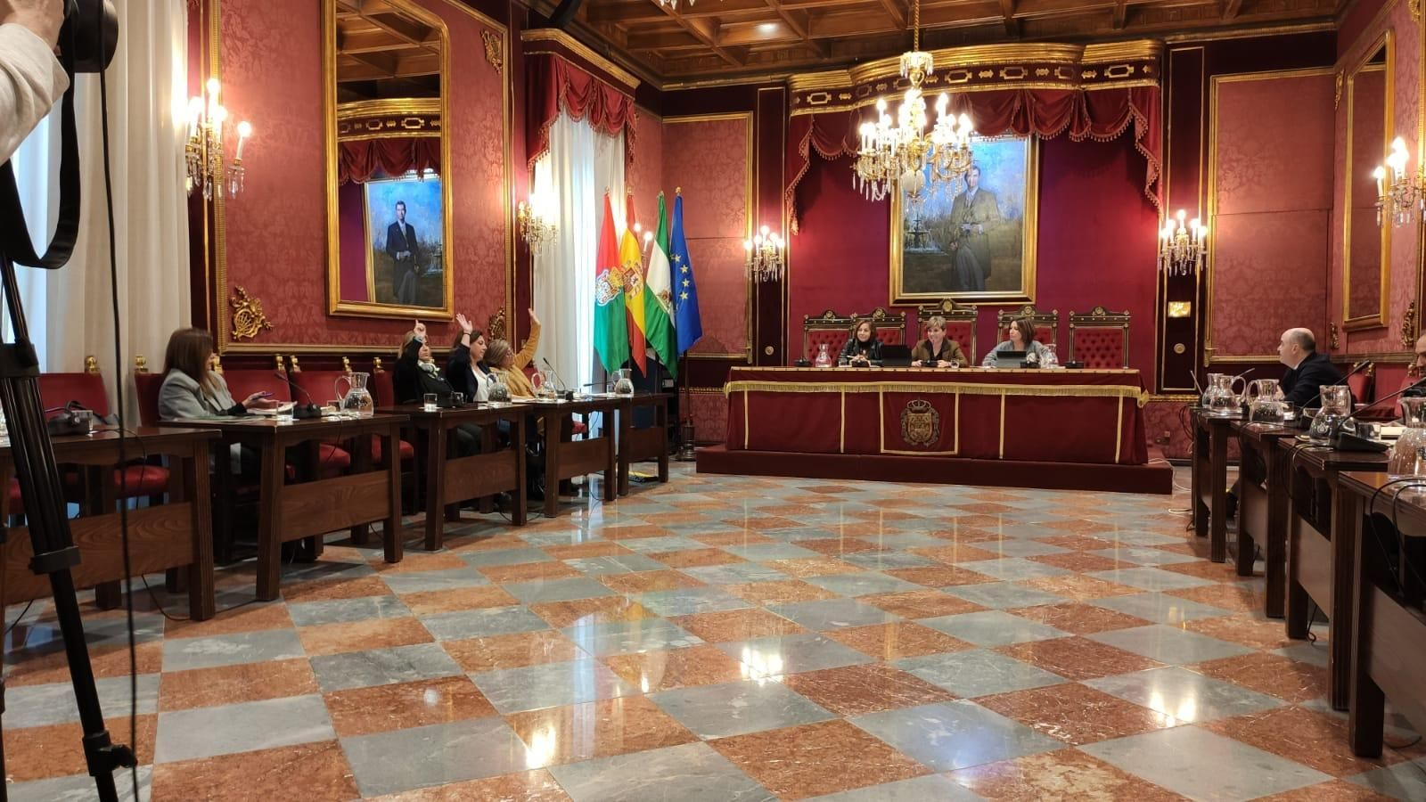 Comisión extraordinaria sobre la Policía Local.