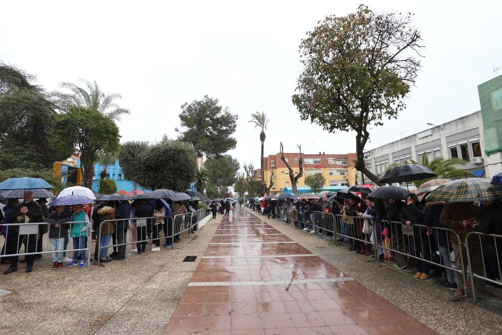 Las imágenes de Pino Montano