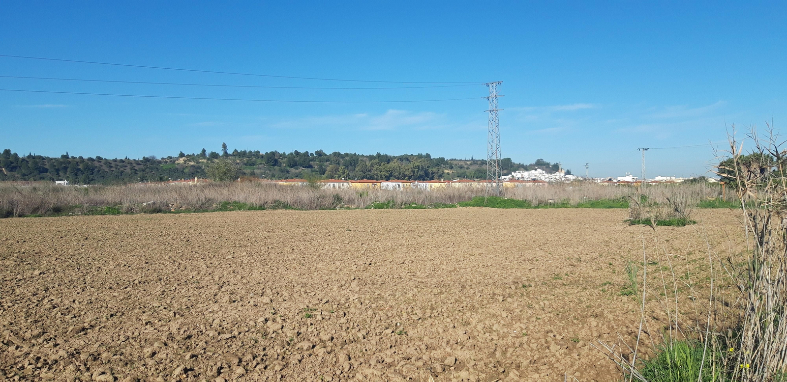 Ruta por la ribera del Guadalquivir entre Sevilla y Coria del Río