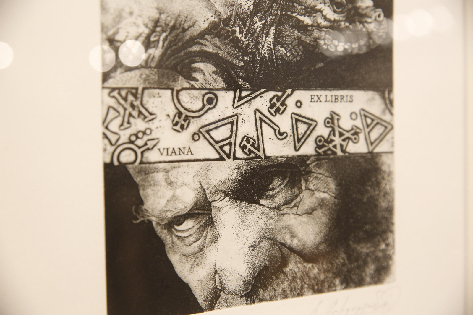 La muestra podrá verse en la Sala Zaida.