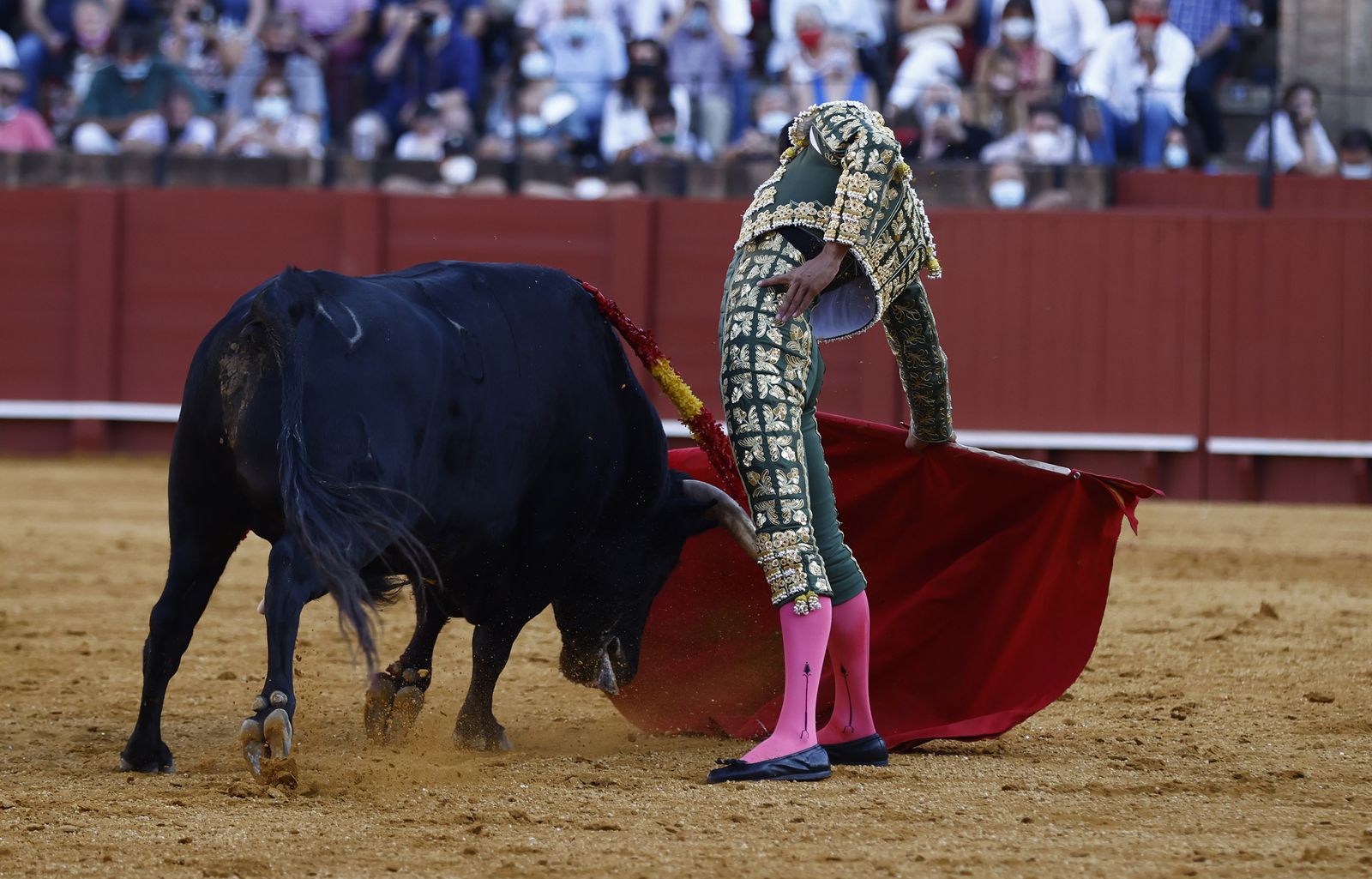 Fotos de la segunda novillada de la feria de San Miguel de Sevilla