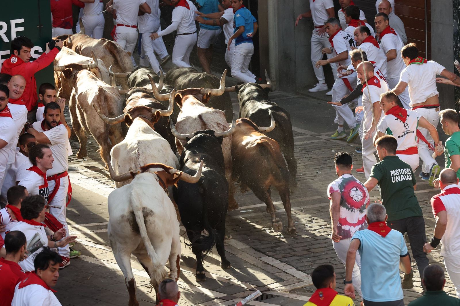 Las imágenes de los toros de Jandilla en los sanfermines