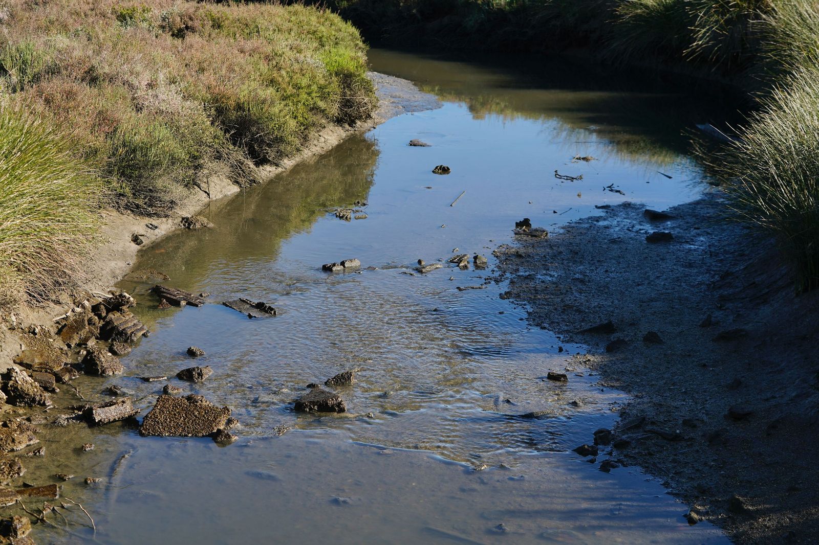 Fotos de la contaminación en el paraje natural marismas del Río Palmones