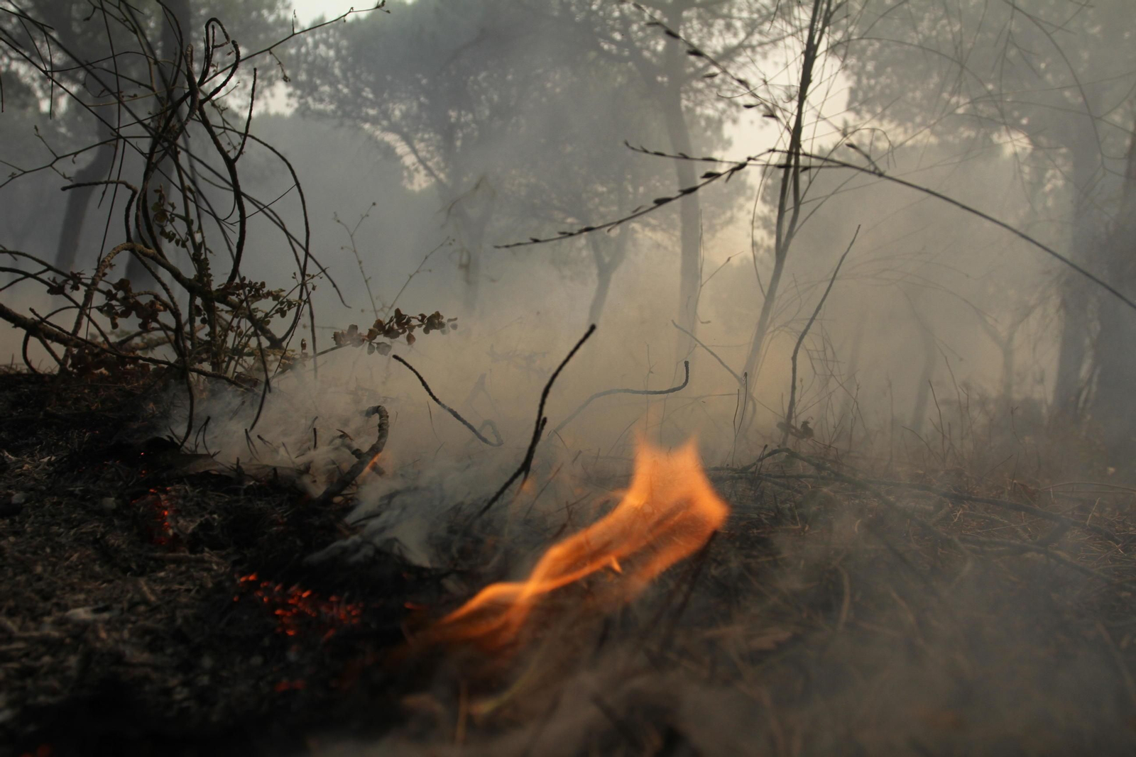 Las imágenes del incendio en Moguer y Mazagón