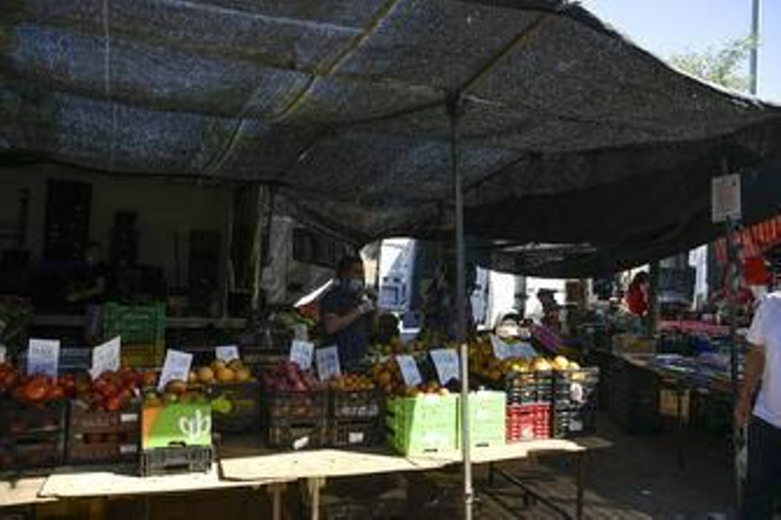 Fotos: así ha sido el regreso del mercadillo en el Zaidín de Granada
