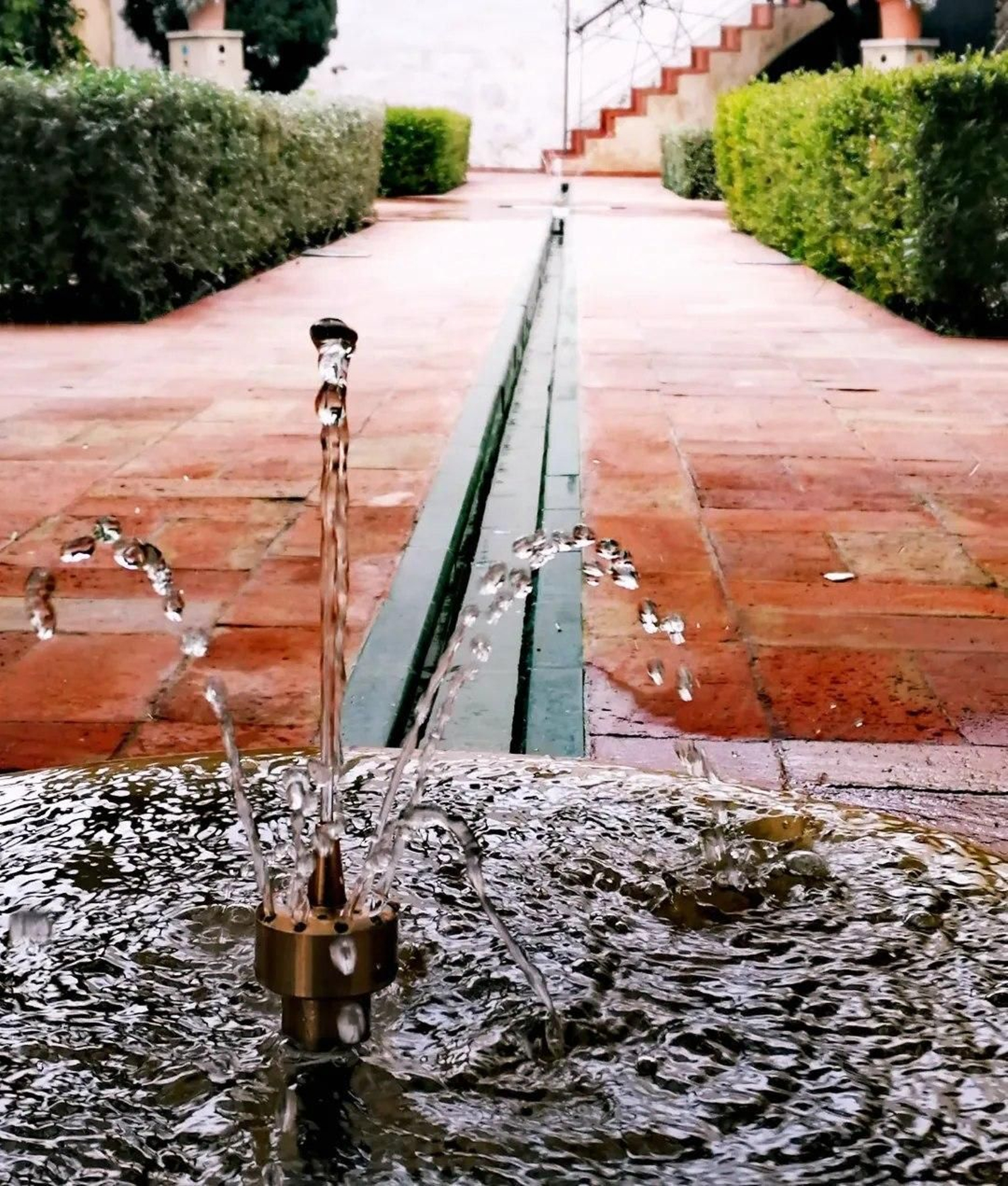 Jardín Andalusí, ubicado en la trasera del Palacio del. Mayorazgo.