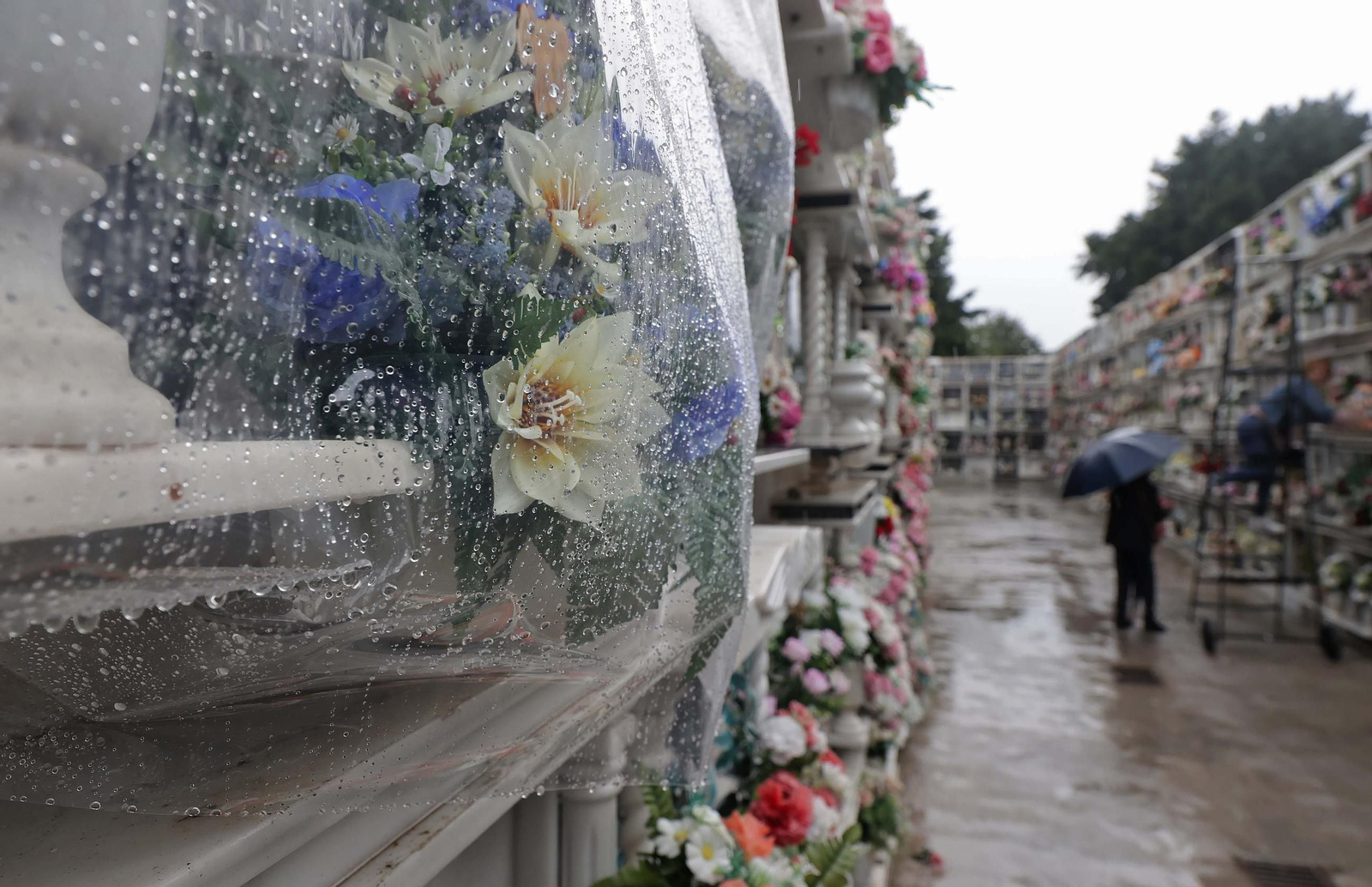 Fotos de los preparativos para Tosantos en el cementerio de Algeciras