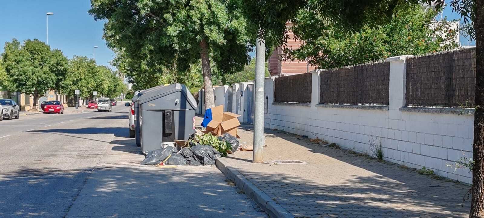 La zona sur de Jerez: ¿un campo de basura y malas hierbas?