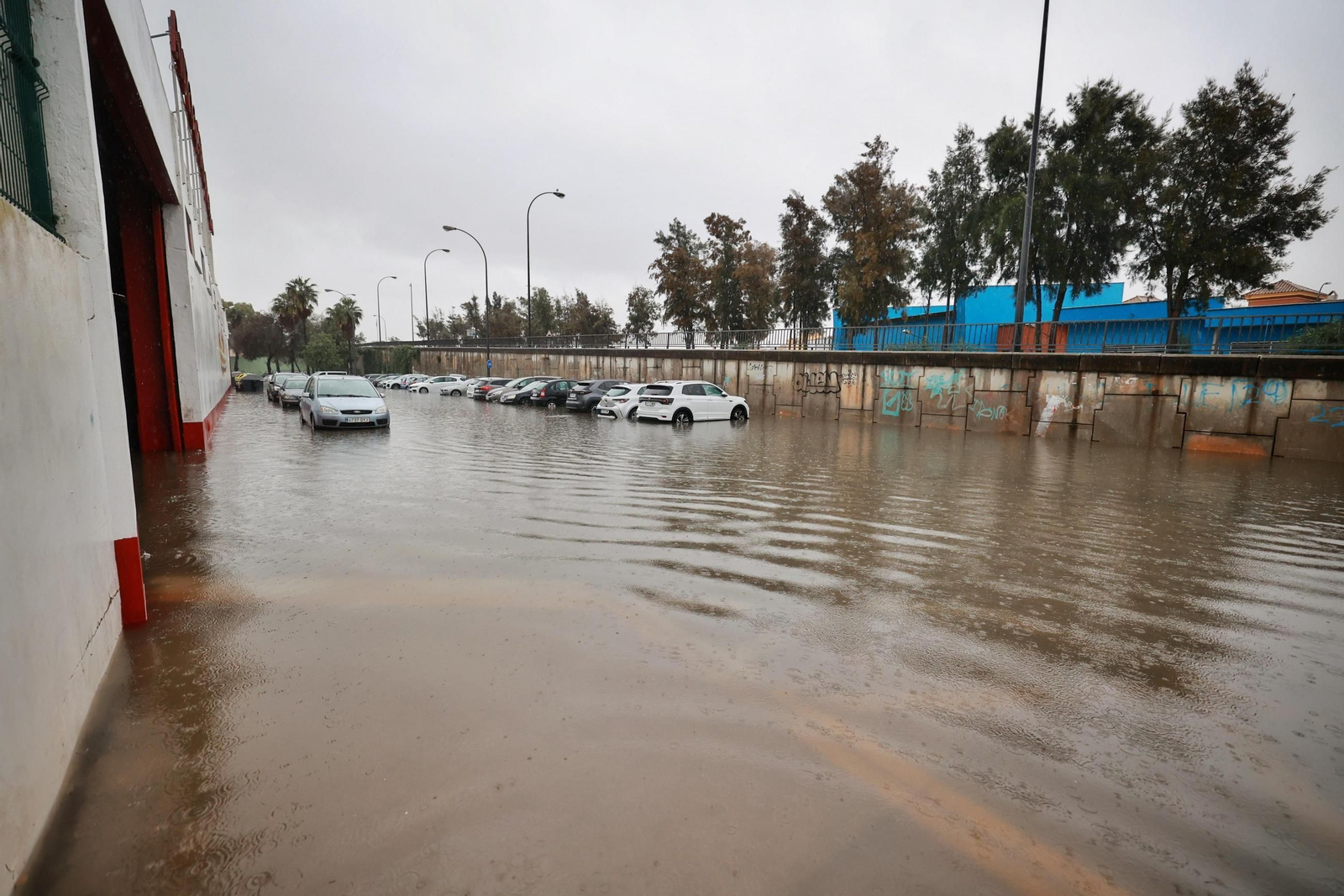 Imágenes de calles inundadas y vecinos achicando agua en San Fernando