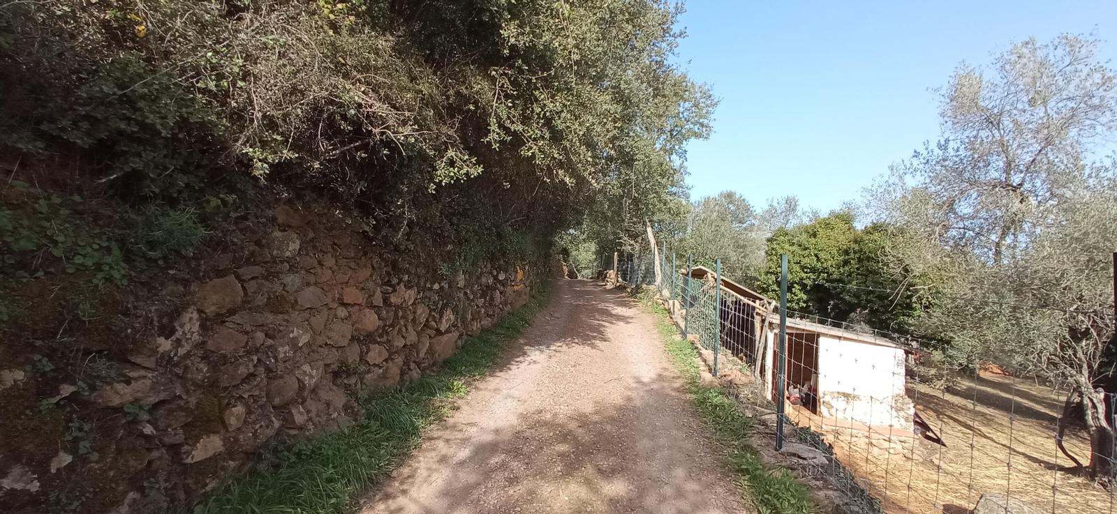 Las imágenes de la ruta de la Dehesa de Valdelama: De Los Marines a Fuenteheridos y vuelta