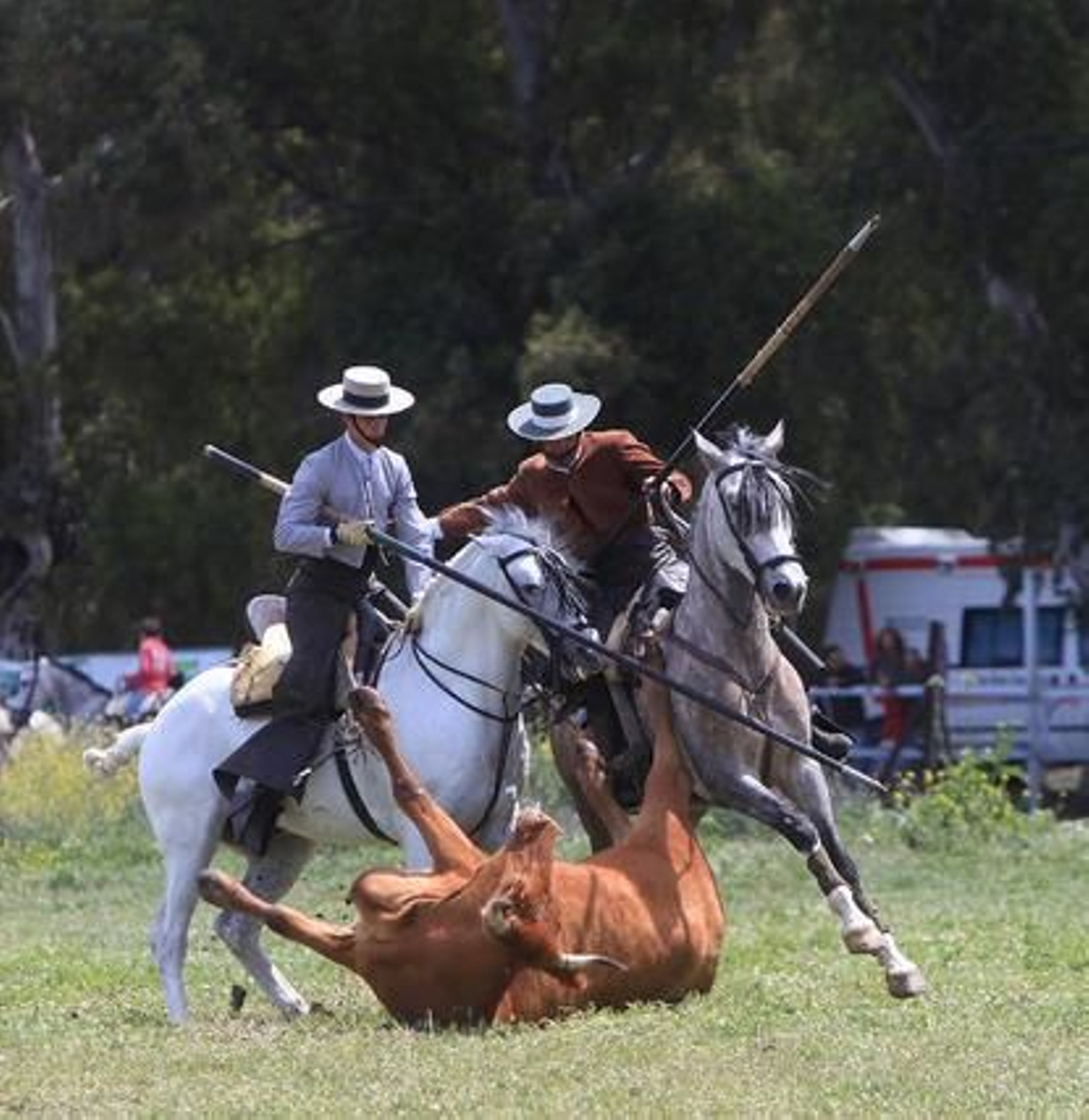 Los jerezanos Tomás y Felipe Morenés se hicieron con un trofeo reñido en un escenario muy recuperado de la lluvia.

Foto: Vanesa Lobo