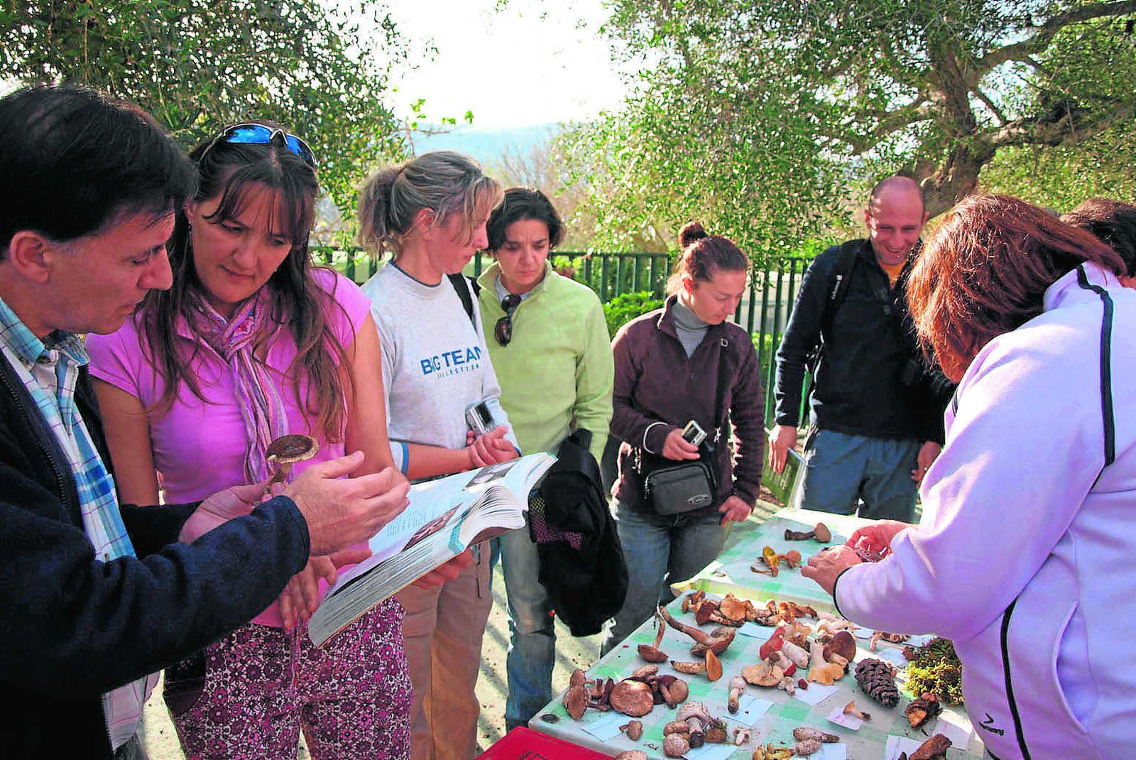 Conozca las normas para la recogida de setas y hongos en Almería