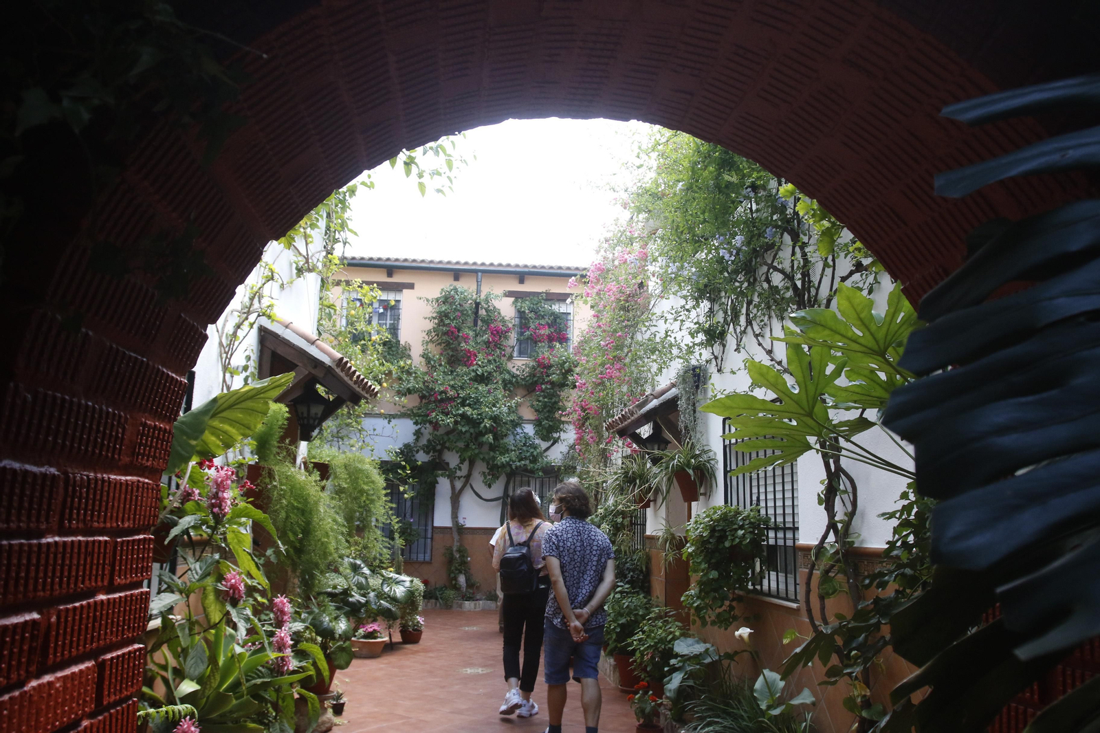 Ruta Santiago - San Pedro de los Patios de Córdoba, en imágenes