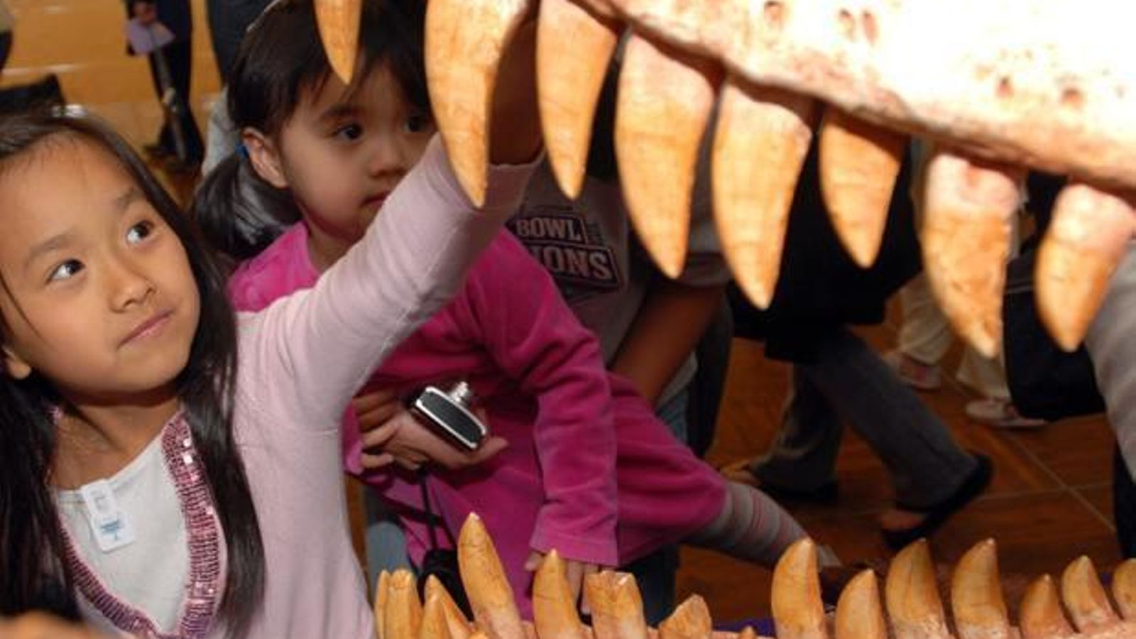 Entre otras especies, se encuentran las réplicas de tiranosaurios rex.