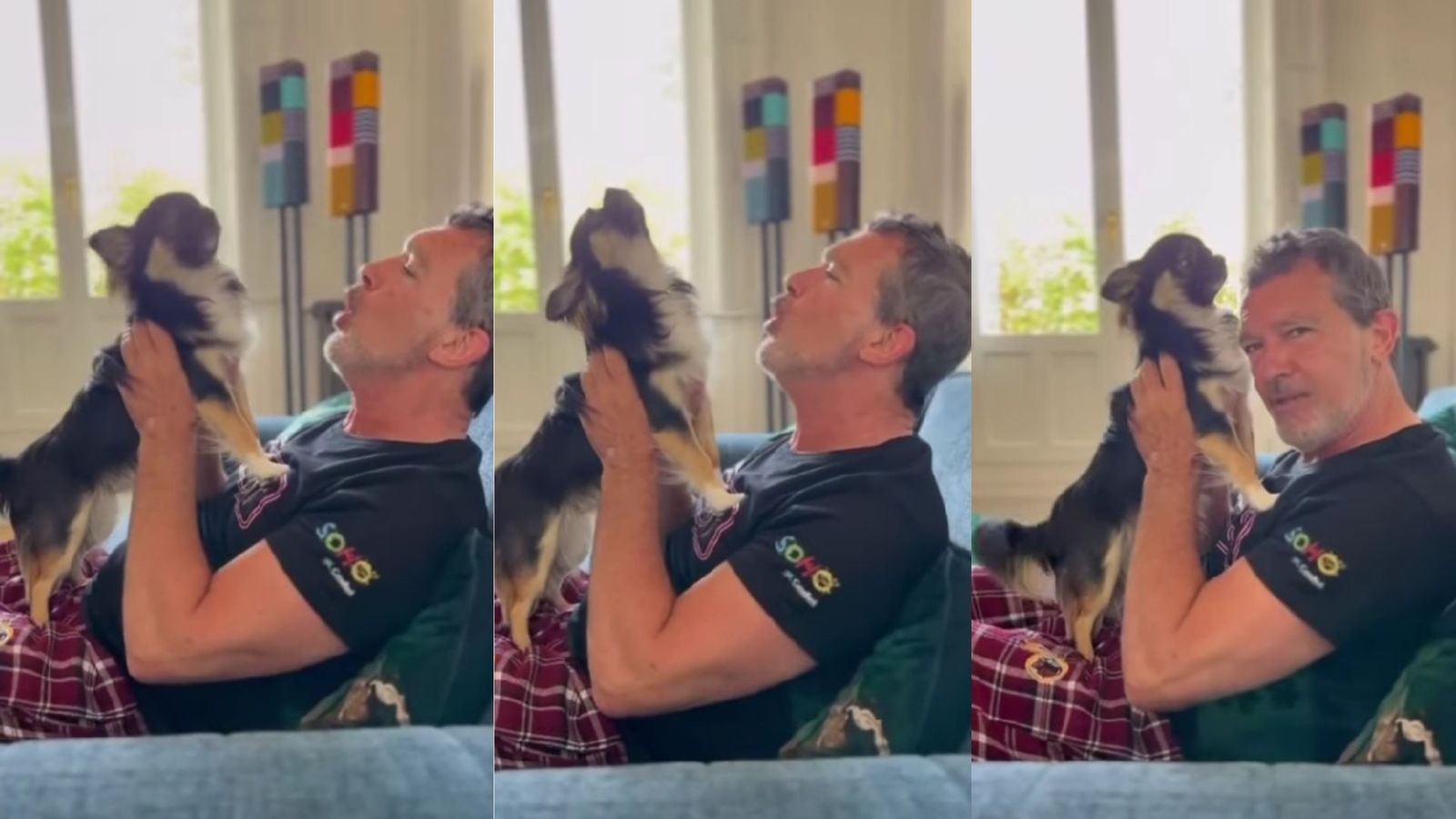 El perro de Antonio Banderas 'hereda' las habilidades para el cante del malagueño.