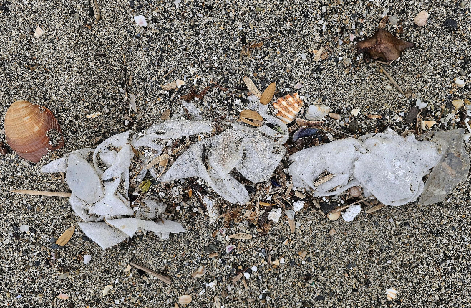 Las toallitas acumuladas en la playa de Levante de La Línea, en imágenes