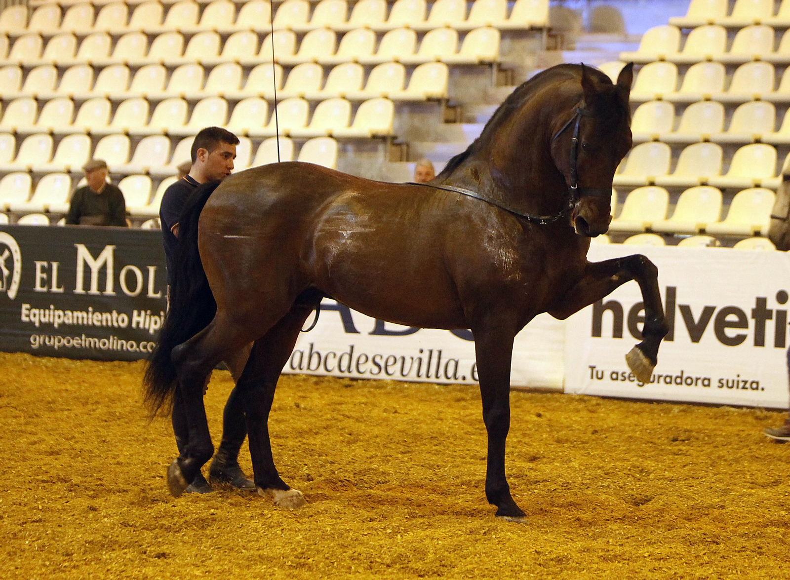 Las pruebas de SICAB 2020 pueden verse en directo a través de SICAB TV. Este año, no habrá espectáculo.