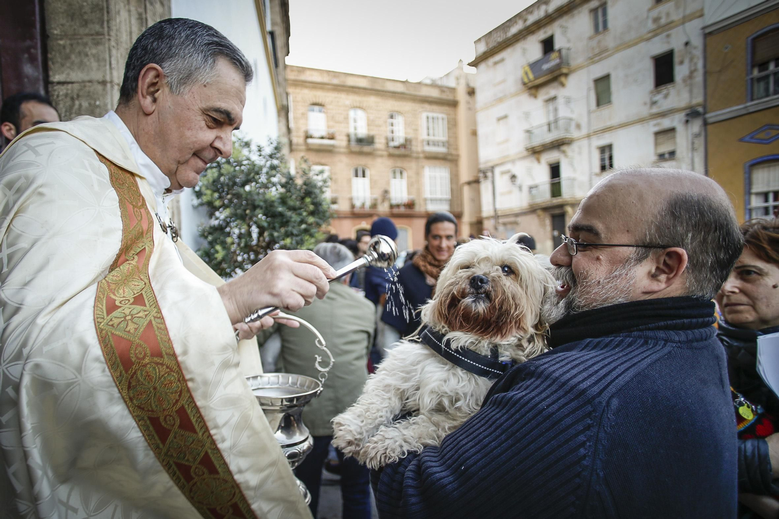 Bendición de animales en Santo Domingo