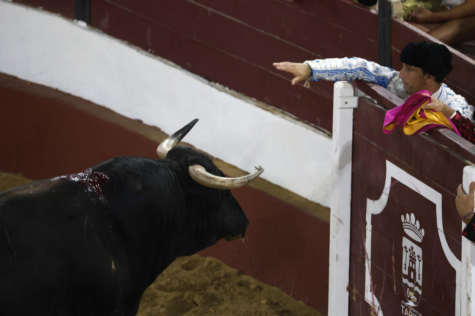 Las fotos de la corrida de toros de Lagunajanda para Manuel Escribano, David Galán y Pepe Moral en Tarifa