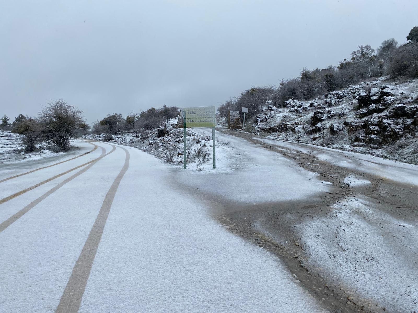 El Parque Nacional Sierra de las Nieves se viste de blanco, en imágenes