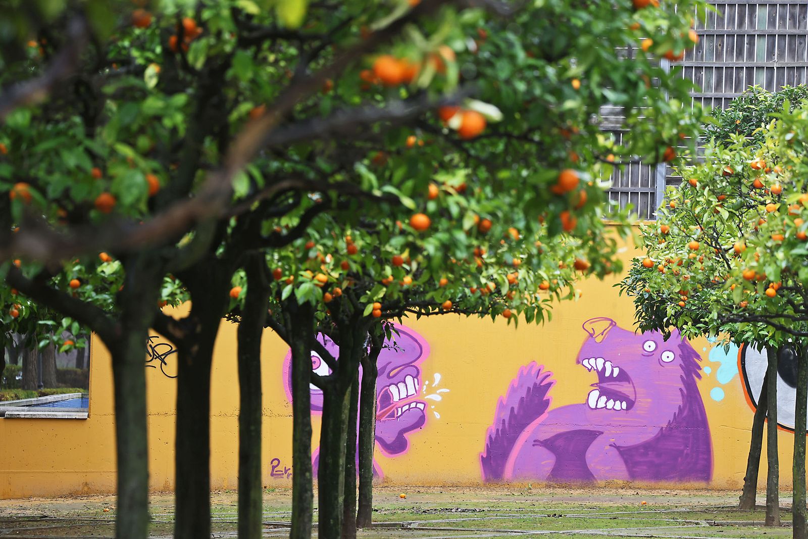 Las imágenes más destacadas del sábado 25 de enero en Huelva