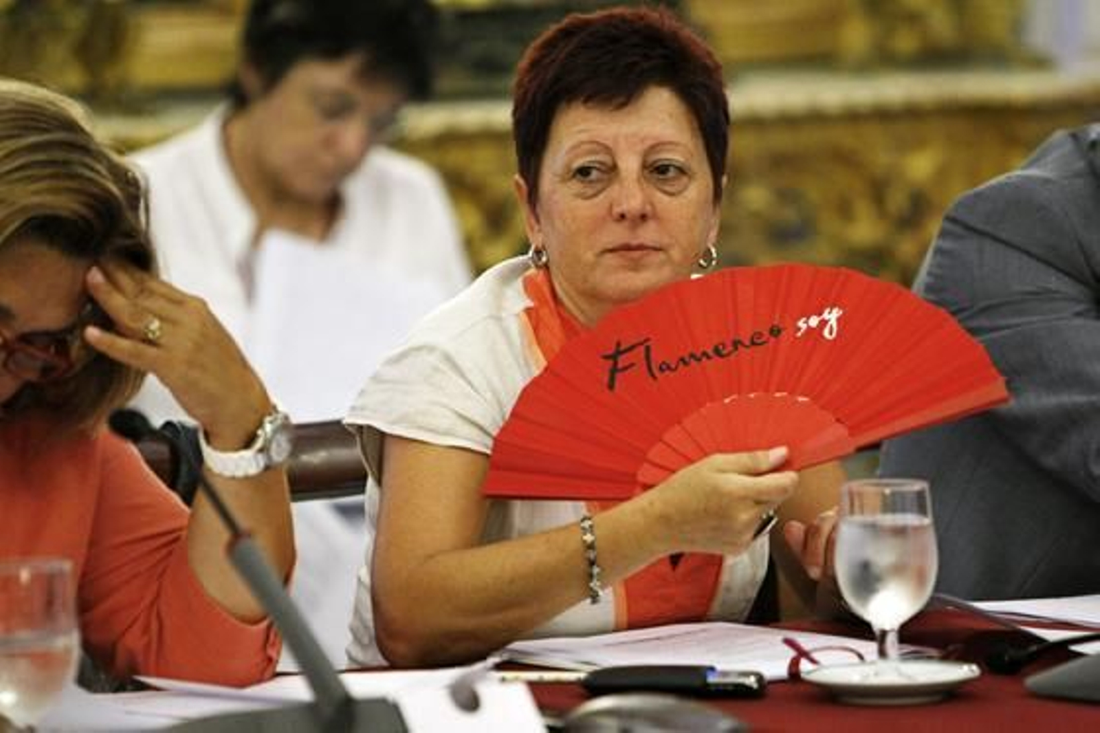 IU vota en contra de las cuentas generales de 2009 en el pleno de Diputación. 

Foto: Julio Gonzalez