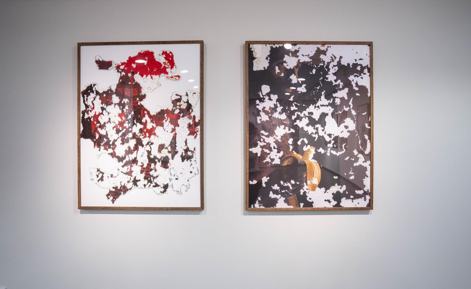 El comisario Sema D'Acosta y el artista Joan Fontcuberta presentan la exposición Háptica de la Fundación Unicaja