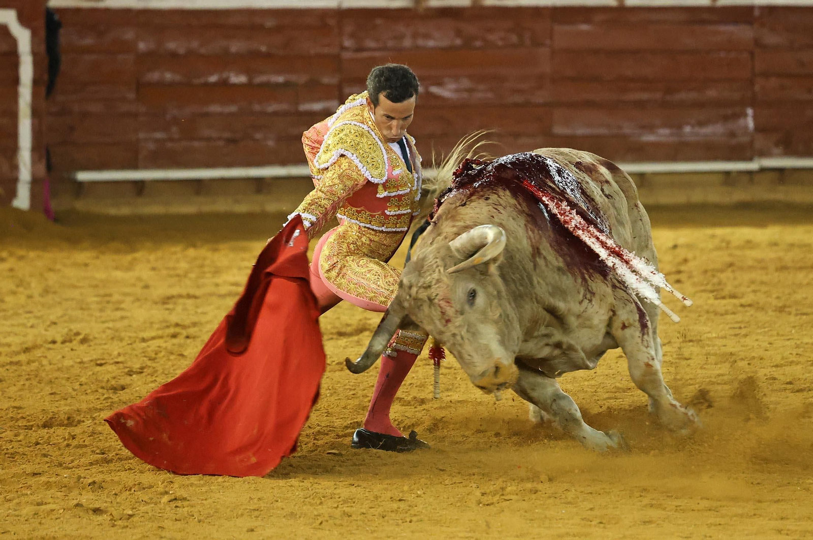 Toros La Merced: Imágenes de la corrida de David de Miranda, Roca Rey y Manzanare