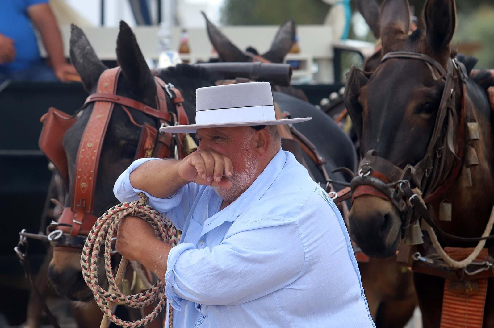 Imágenes del ambiente El Rocío y en Casas de Hermandades
