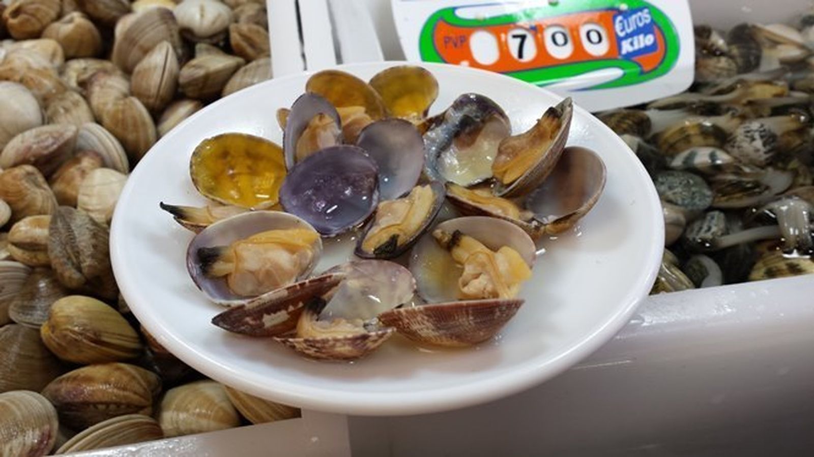 La almeja japonesa:  'Ruditapes philippinarum'