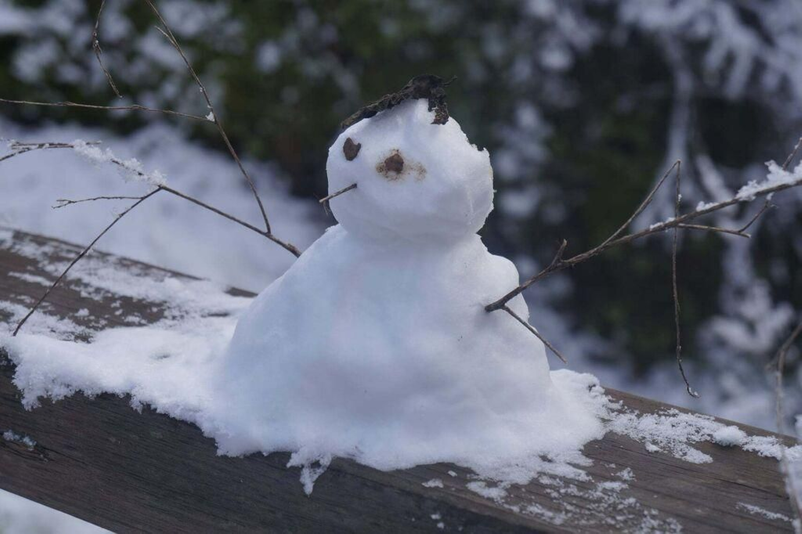 La Sierra de Aracena completamente nevada: dos años después de Filomena
