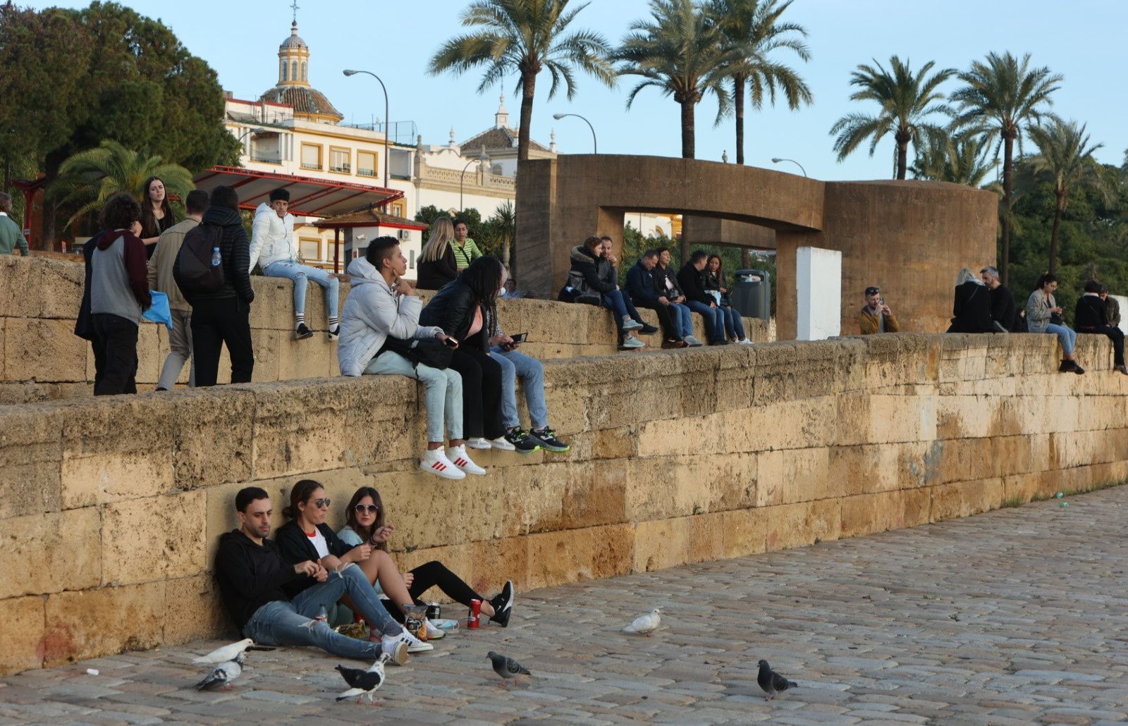 Navidades en mangas de camisa