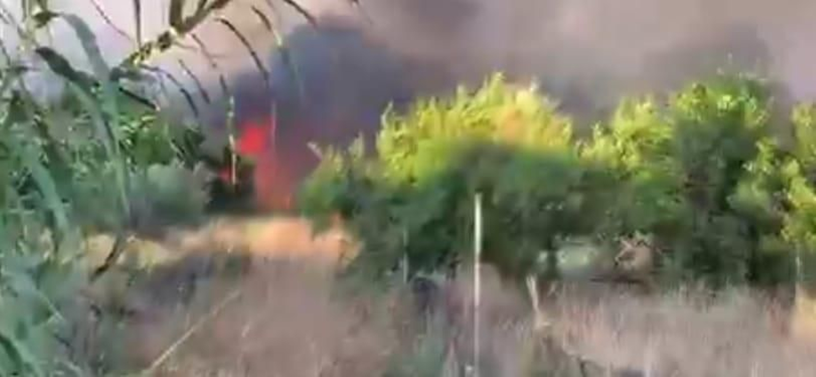 Incendio en Gibraleón