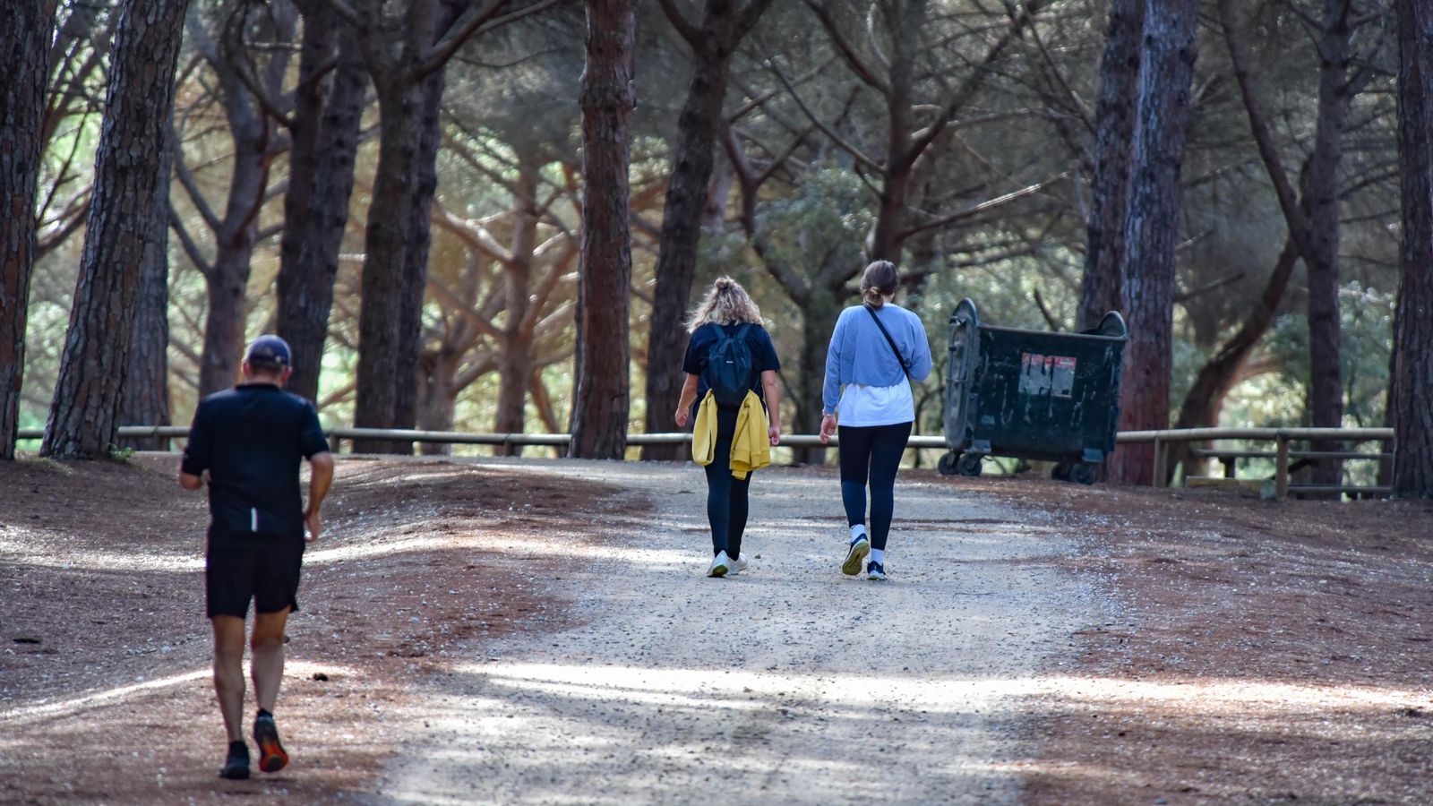 Senderistas realizando uno de los itinerarios naturales del Pinar del Rey