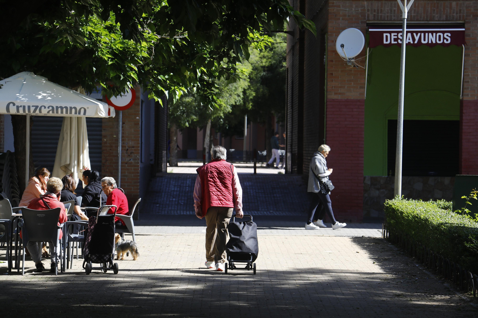 El deterioro del barrio de Las Moreras de Córdoba, en imágenes