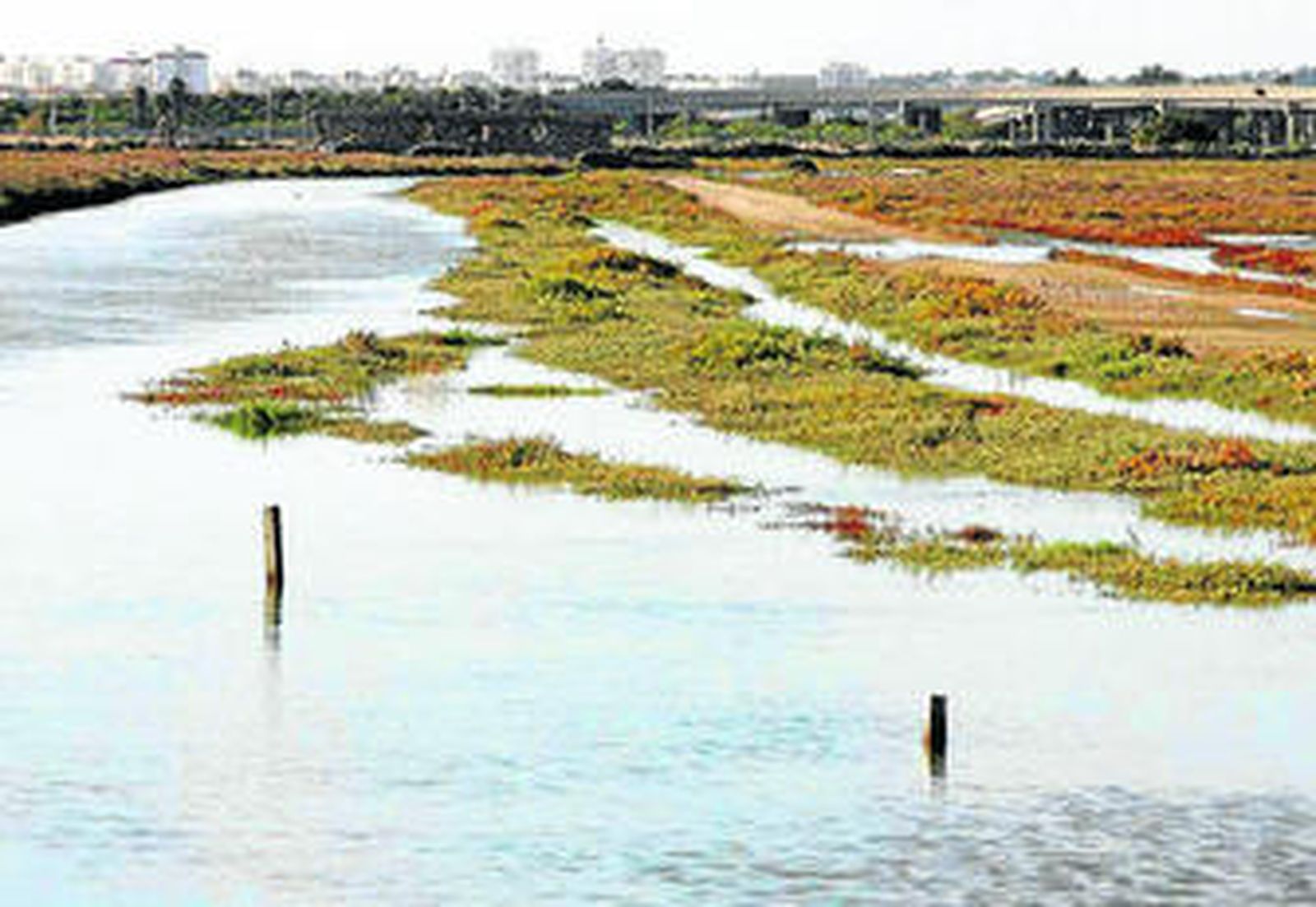 Las Aletas es otro proyecto afectado por el Dominio Público Marítimo-Terrestre.