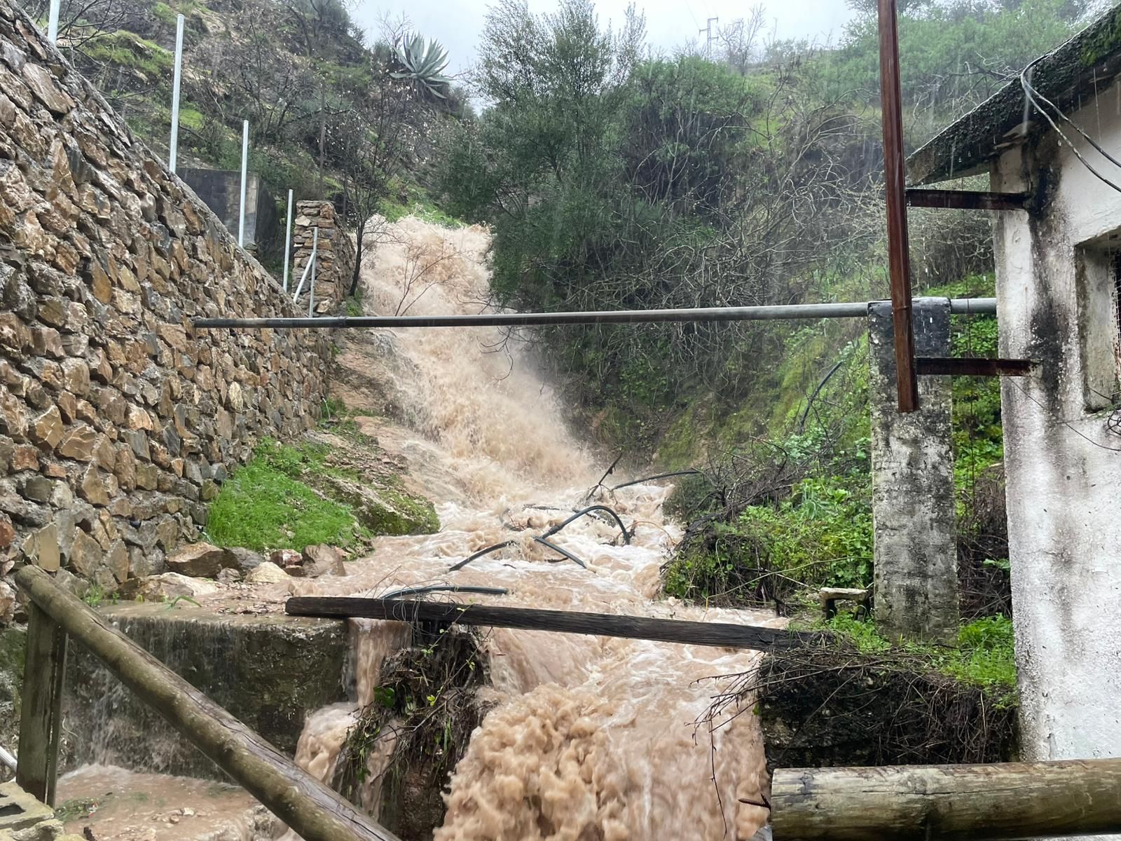 El paso de la borrasca Leonardo por la provincia de Málaga, en imágenes