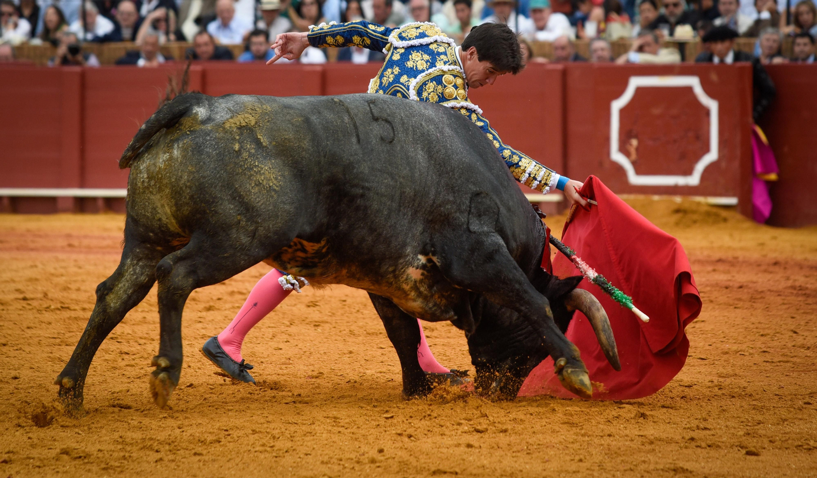 Las imágenes de la corrida de toros de El Fandi, Manuel Escribano y Esaú Fernández