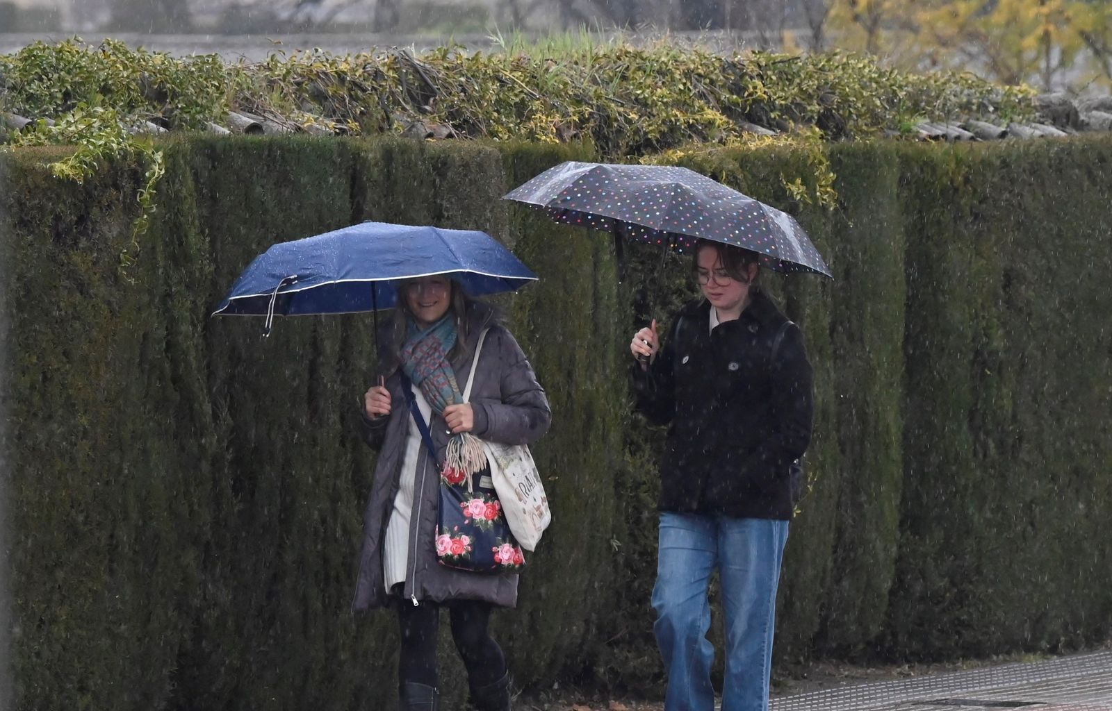 Las imágenes del Día de Andalucía pasado por agua en Córdoba