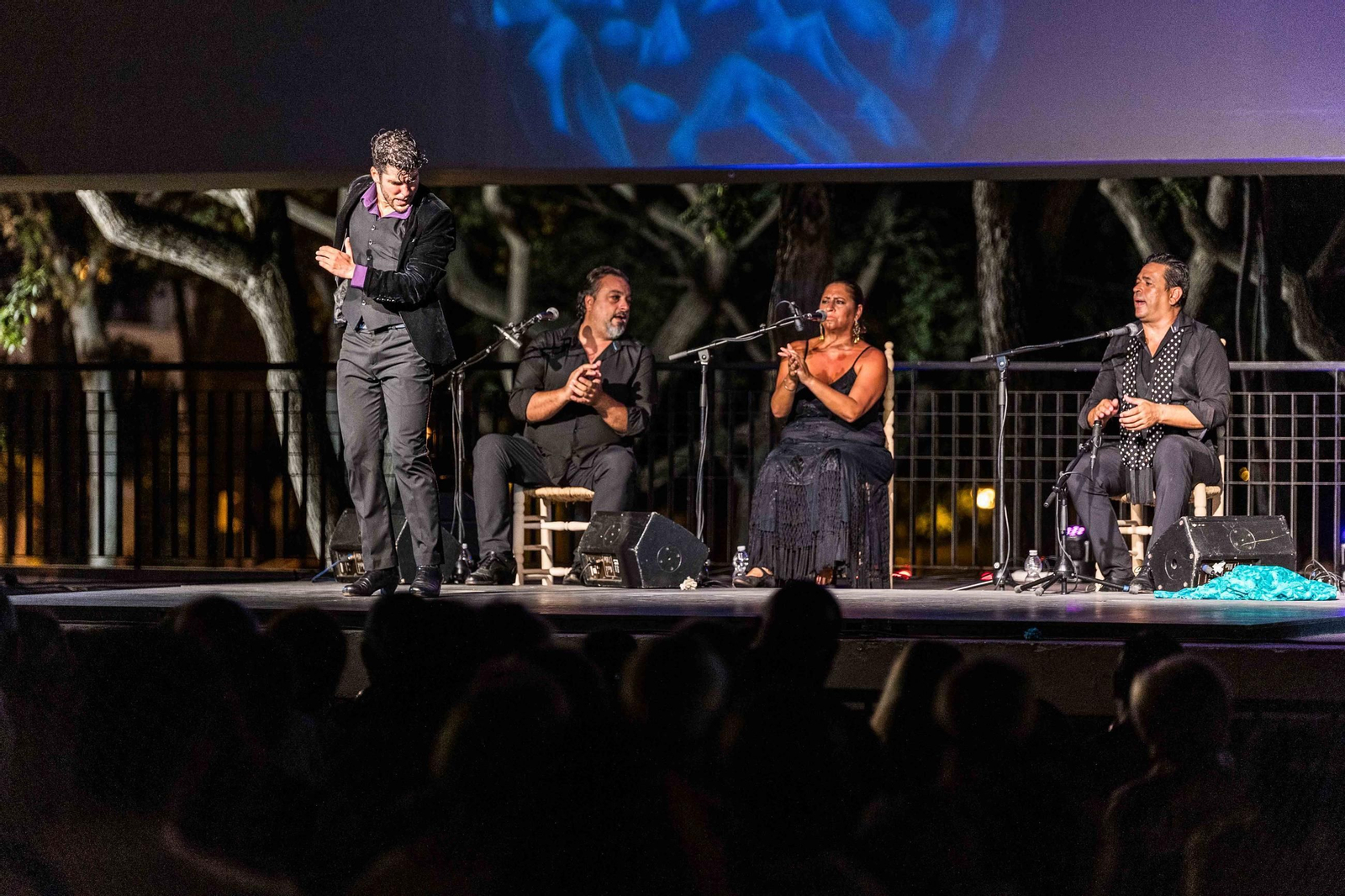 La Isla Ciudad Flamenca: Noche de baile en el Parque de San Fernando