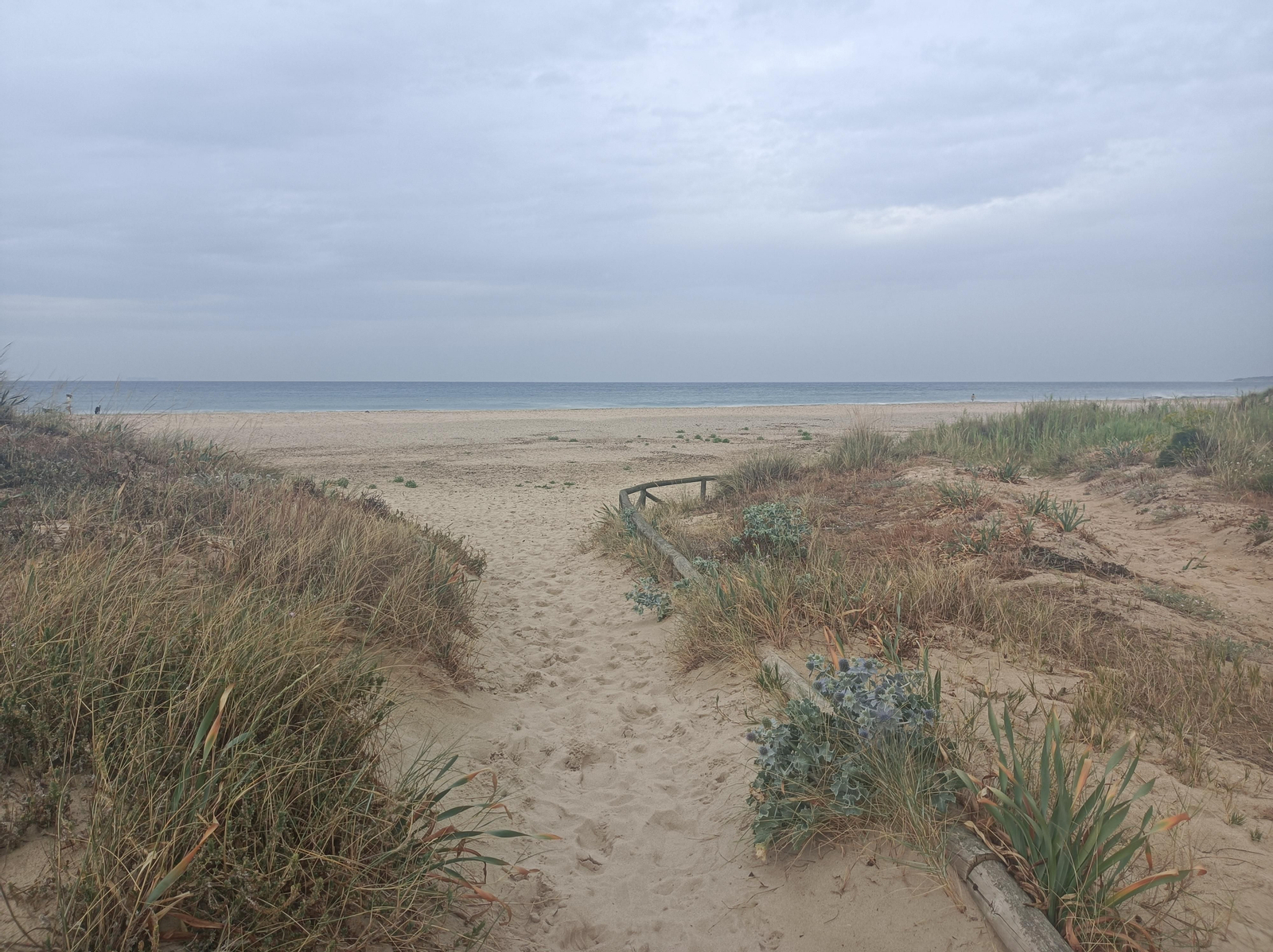 Al final, salimos al arenal.